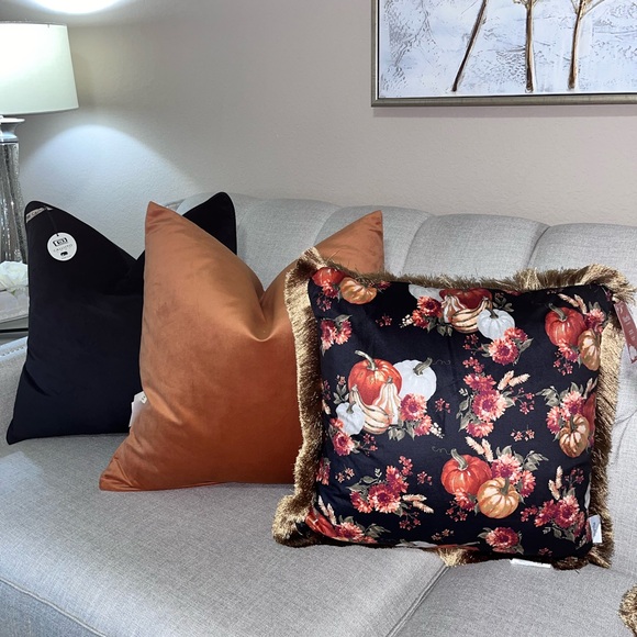 COPY - 1-NWT TGH TESSITURA VELVET DECORATIVE PILLOWS (Read description for deta… - Picture 4 of 15